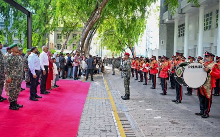 ސިފައިންގެ މަގުމަތީ ހިނގާލުމަށް ބޮޑު ތަރުހީބެއް