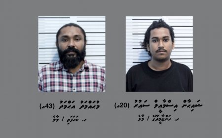 މަސްތުވާތަކެތީގެ މައްސަލައެއްގައި މާލެއިން ދެ މީހަކު ހައްޔަރުކޮށްފި