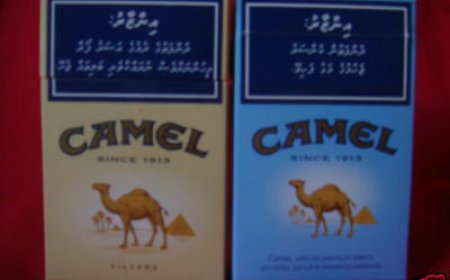ރާއްޖެ އެތެރެކުރަން އުޅުނު ލައްކައަކަށްވުރެ ގިނަ ސިގިރޭޓް އަތުލައިގެންފި
