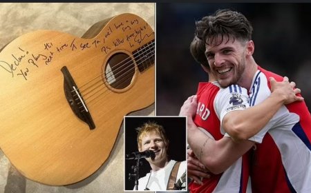 ޑެކްލަން ރައިސްގެ މޮޅު ހިލޭޖެހުން ސެލެބްރޭޓްކުރަން އެޑް ޝީރަން ސޮއިކޮށްފައިވާ ގިޓައެއް