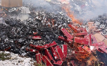 ކަސްޓަމްސްއިން މިލިއަނެއްހާ ސިނގިރޭޓް ނައްތާލައިފި