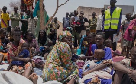 ސޫދާންގެ ދަފަރުގައި ފާއިތުވި ދެ ހަފްތާގެ ތެރޭގައި އާންމުންގެ 480 މީހުން ވަނީ މަރާލާފައި: އދ