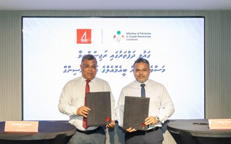 ދަފްތަރުގައި ތިބި މަސްވެރިންނަށް ކުރިއަށް އޮތް މެއި މަހުން ފެށިގެން ލޯނު ދޭން ފަށަނީ