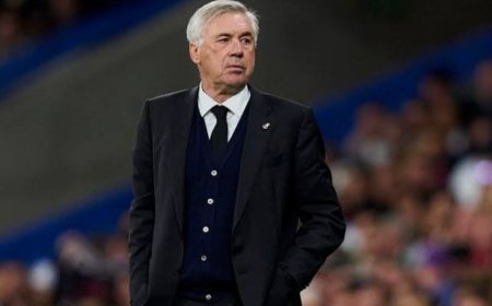 އަންޗެލޮއްޓީގެ ބްރެޒިލް ޑީލަށް ރެއާލުން ހުރަސްއަޅަނީ: މަސްދަރުތައް