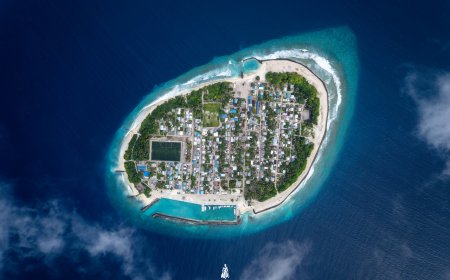 ހިރިނައިދޫ، ނެއްލައިދޫގެ ބައެއްގެ ގޮތުގައި ކަނޑައަޅުއްވައިފި