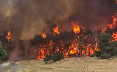 އިޒްރާއިލްއިން ހިފާފައިވާ ގުދުސްގައި ރޯވި އަލިފާންގަނޑު ކޮންޓްރޯލް ނުކުރެވި ޔަހޫދީ އާބާދީތަކާ ދިމާލަށް މިސްރާބު ޖަހައިފި