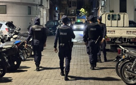 ހައްޔަރުކުރި ދެ ޒުވާނުން ދޫކޮށްލަން އެމްޑީޕީން ގޮވާލައިފި