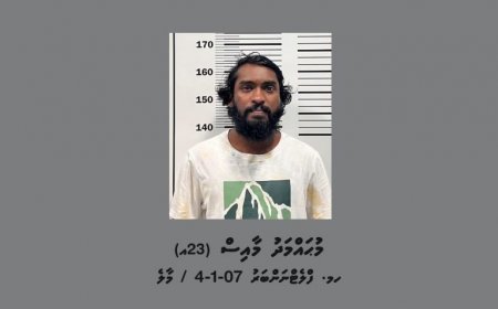 މަސްތުގެ ހާލަތުގައި އިނދެ ނުރައްކާތެރިކޮށް ކާރެއްދުއްވި މީހަކު ހައްޔަރުކޮށްފި