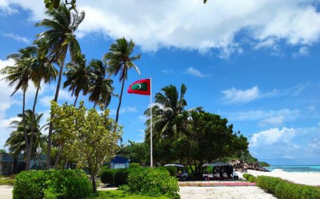 ތަމްރީނު ހަދަމުންދިޔަ ރެކްރޫޓެއްގެ ހާލު ސީރިއަސްވެ އައިޖީއެމްއެޗްގައި ފަރުވާދޭން ފަށައިފި