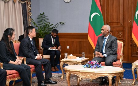 ޗައިނާގެ އައު ސަފީރު، ސަފީރުކަމުގެ ފަތްކޮޅު ރައީސުލްޖުމުހޫރިއްޔާއަށް އަރުވައިފި