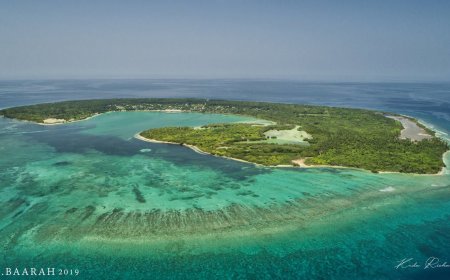 ބާރަށުން ސިހުރު ހަދާކަމަށް ތުހުމަތު ކުރެވުނު 8 މީހުން ދޫކޮށްލައިފި