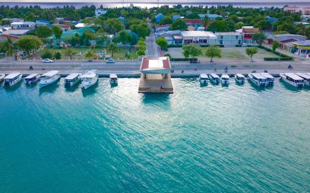 ތިނަދޫގައި ހިނގި އެކްސިޑެންޓެއްގައި އަންހެނަކަށް ބޮޑެތި އަނިޔާތަކެއްވެ މާލެ ގެނެސް ފަރުވާދެނީ
