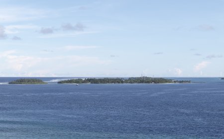 މުއްޔަށް މޯލްޑިވިއަންގެ ޓިކެޓް 1377 ރުފިޔާ