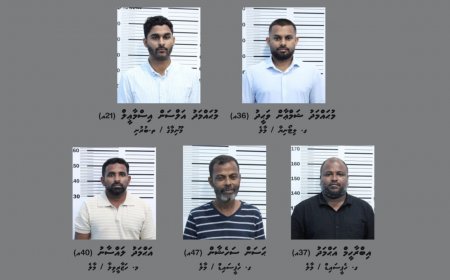 ކުރީގެ އިމިގްރޭޝަން ކޮންޓްރޯލަރ ހިމެނޭ ގޮތަށް ފަސް މީހުންގެ މައްޗަށް ދައުވާކޮށްދޭން އެދިއްޖެ