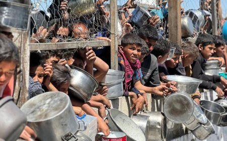 ޣައްޒާގެ ހައިހޫނުކަމުގެ ހާލަތުގެ އަސަރު މިހާރުގެ ކުޑަކުދިންގެ ޖީލަށް މުޅި އުމުރަށް ކުރާނެ: އދ