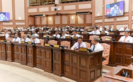 ދެ ފަނޑިޔާރުން މަގާމުން ވަކިކުރުމުގެ މައްސަލަ މާދަމާގެ ޖަލްސާއަށް!