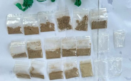 ގެމަނަފުށްޓަށް މަސްތުވާތަކެތި އެތެރެކުރަން އުޅުނު މީހަކު ހައްޔަރުކޮށްފި