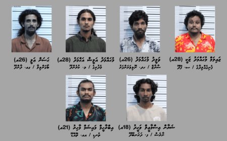 ހާޢްސަ އޮޕަރޭޝަނެއްގައި 6 މީހުން ހައްޔަރުކޮށް 2 ކިލޯއެއްހާ މަސްތުވާތަކެތި އަތުލައިގެންފި
