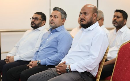 ޝިޔާމް އާއި ޣައްސާން އާއެކު ޕީއެންސީގެ ނައިބުރައީސުންގެ އަދަދު 8 އަށް