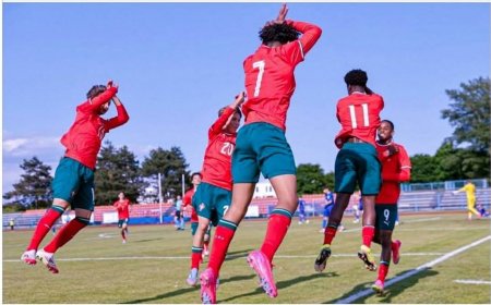 ކްރިސްޓިއާނޯ ރޮނާލްޑޯ ޖޫނިއަރ ގެ ދެ ގޯލާއެކު 15 އަހަރުން ދަށުގެ ޕޯޗްގަލް ޓީމު މުބާރާތް ކާމިޔާބުކޮށްފި