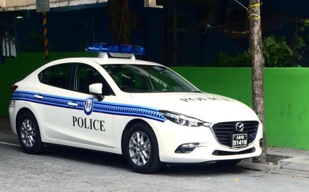 ހުޅުމާލެ ފޭސް 2 ގައި ހިންގި މާރާމާރީއެއްގައި ދެމީހަކަށް އަނިޔާވެއްޖެ