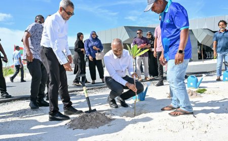 މ. މުލީ އެއަރޕޯޓްގައި 1000 ގަސް އިންދުމުގެ މަޝްރޫއެއް ރައީސް ފައްޓަވައިދެއްވައިފި