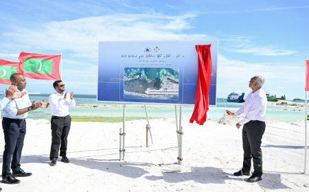 މުއްޔާއި ނާލާފުށި ގުޅުވާލާ ކޯޒްވޭގެ މަސައްކަތް ރައީސް ފައްޓަވައިދެއްވައިފި