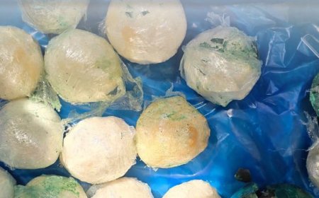 ރާއްޖެ އެތެރެކުރަން އުޅުނު 3.6 ކިލޯގެ މެތު އަތުލައިގެންފި