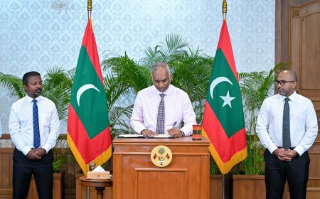 ގޭންގު ކުށްތައް ހުއްޓުވުމުގެ ބިލު ރައީސުލްޖުމްހޫރިއްޔާ ތަޞްދީޤުކުރައްވައިފި