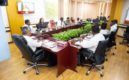 މާލެ ސިޓީ ކައުންސިލްގެ ހަފްލާތަކަށް ދުފާއެއްޗިހި ނުވައްދަން ނިންމައިފި