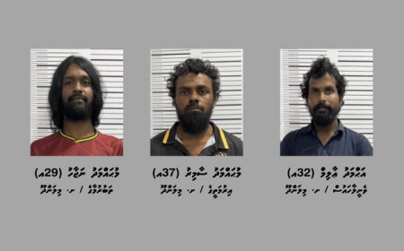 މަސްތުވާތަކެތީގެ ވިޔަފާރިކުރާ ކަމުގެ ތުހުމަތަށް މިލަންދޫން ތިން މީހަކު ހައްޔަރުކޮށްފި