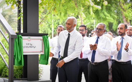 "މީޑިއާ ފެންޑާ"ރައީސުލްޖުމްހޫރިއްޔާ  ރަސްމީކޮށް ހުޅުވައިދެއްވައިފި