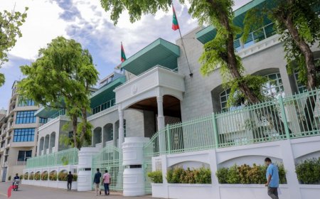 މާލީ ޚިދުމަތްތަކުގެ ސިނާއަތު ކުރިއަރުވަންވެސް ކުންފުންޏެއް އުފައްދަވައިފި