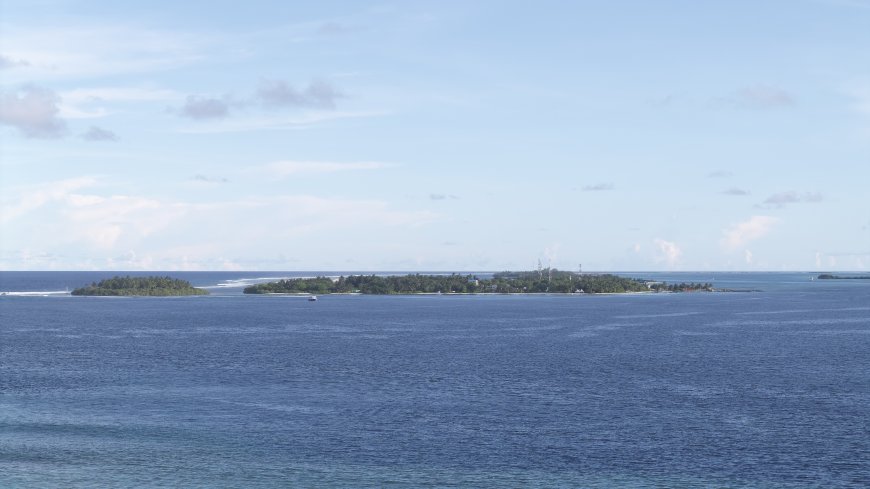 މުއްޔަށް މޯލްޑިވިއަންގެ ޓިކެޓް 1377 ރުފިޔާ