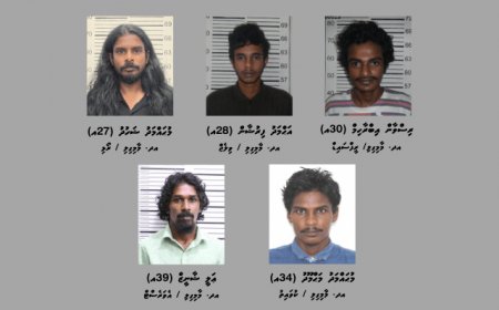 5 މީހުން ހައްޔަރުކޮށް, 9 ގްރާމްގެ މަސްތުވާތަކެތި އަތުލައިގެންފި
