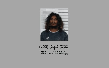 މަސްތުވާތަކެތިކަމަށް ޝައްކުކުރެވޭ އެއްޗެއް ހުރި 22 ރަބަރު ޕެކެޓާއިއެކު ތުޅާދޫއިން މީހަކު ހައްޔަރުކޮށްފި