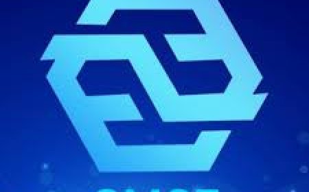 ޖެމްކިޔު ސްކީމަކީ އޮޅުވާލައިގެން ހިންގާ ޕިރަމިޑް ސްކީމެއް- ފުލުހުން