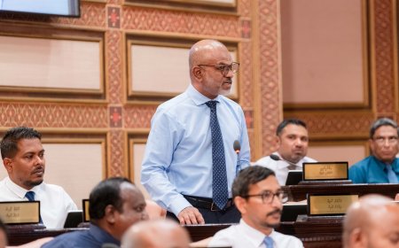 ރަނގަޅު ގޮތަކީ ކައުންސިލް މެމްބަރުންގެ އަދަދު މަދުކޮށް, މުސާރަ ބޮޑުކުރުން- ނާޒިމް