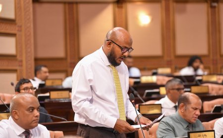 އިމްތިޔާޒުގެ މައްސަލައާއި ލާމަރުކަޒީ ޤަރާރުވެސް ކޮމިޓީއަށް