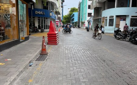 ބޮޑުތަކުރުފާނު މަގުންވެސް އުޅަނދުތައް ޓޯކުރަން ފަށައިފި