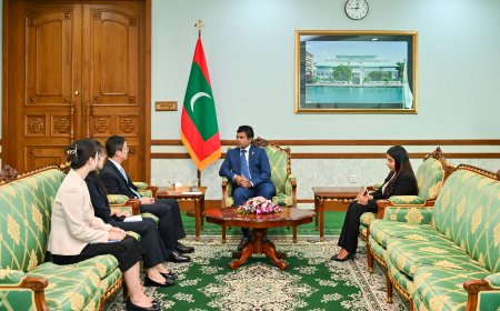 ޗައިނާ ސަފީރު ރައީސުލްޖުމްހޫރިއްޔާގެ ނައިބުގެ އަރިހަށް