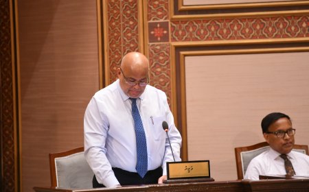 މިނިމަމް ވޭޖް ރިވިއު ކުރުމުގެ މަސައްކަތް ޑިސެމްބަރުގެ ނިޔަލަށް ނިންމާލެވޭނެ – މިނިސްޓަރ ހައިދަރު