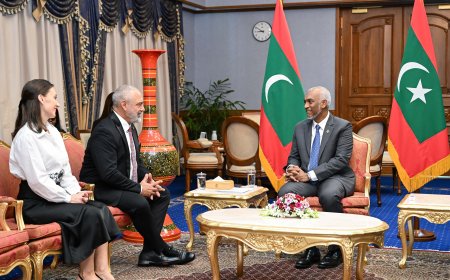 ޕެރަގުއޭ ސަފީރު ފަތްކޮޅު އަރުވައިފި