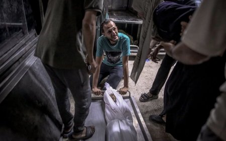 އިޒްރާއިލްއިން މިއަދުވެސް ޣައްޒާގައި 43 މީހަކު ޝަހީދުކޮށްލައިފި