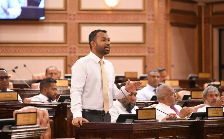 ގަލޮޅު ދެކުނު ދާއިރާގެ މެންބަރު މީކާއީލްގެ ނަން އިއްވައިފި
