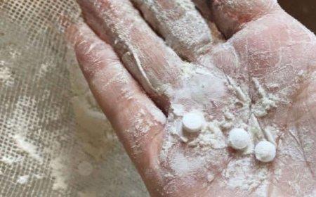 ޣައްޒާގައި ބަހާ ފުށުން ފެނުނު ބާރުގަދަ ބޭހަކީ ހައިހޫނުކަމުގައި ހުންނަ އިންސާނާގެ ބުއްދި އާ ކުޅެލާ އެއްޗެއް!