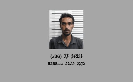 ވިލިނގިލިން ކޮލަމާފުއްޓަށް މަސްތުވާތަކެތި އެތެރެކުރަން އުޅުނު މީހަކު ހައްޔަރުކޮށްފި