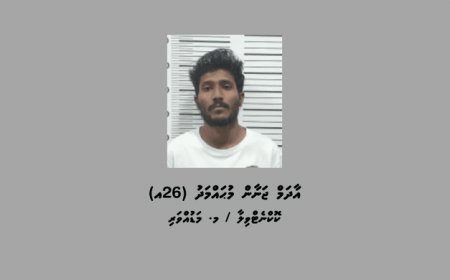 އެކްސިޑެންޓު ވުމުން މަޑުނުކޮށް ފިލައިގެންދިޔަ މީހަކު ހައްޔަރުކޮށްފި