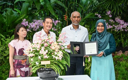 ރައީސުލްޖުމްހޫރިއްޔާގެ ދެކަނބަލުންގެ ނަންފުޅަށް ނިސްބަތްކޮށް ސިންގަޕޫރުގައި އޯކިޑް ގަހަކަށް ނަން ދީފި