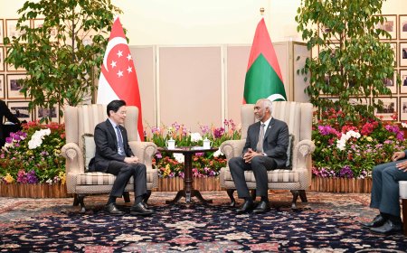 ރައީސުލްޖުމްހޫރިއްޔާ، ސިންގަޕޫރުގެ ބޮޑުވަޒީރާ ބައްދަލުކުރައްވައިފި